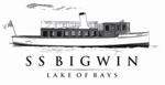 SSBigwinLogo